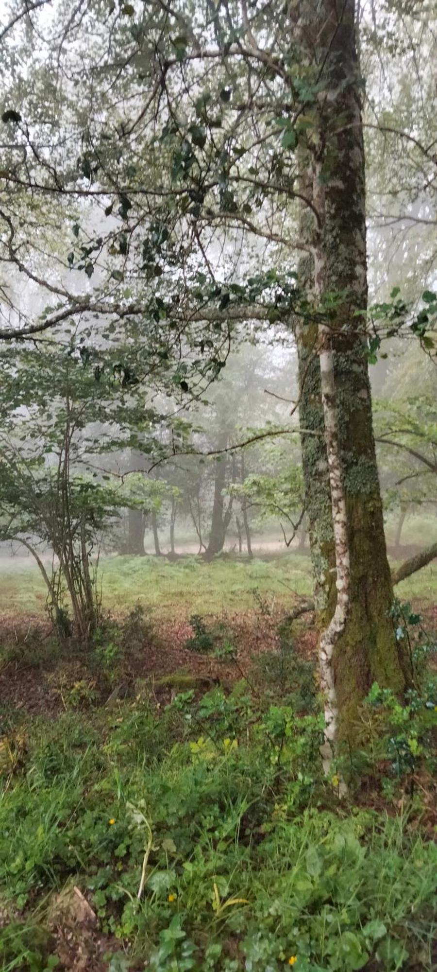 El Mirador De La Hayuela, A 7 Min De Comillas Kültér fotó