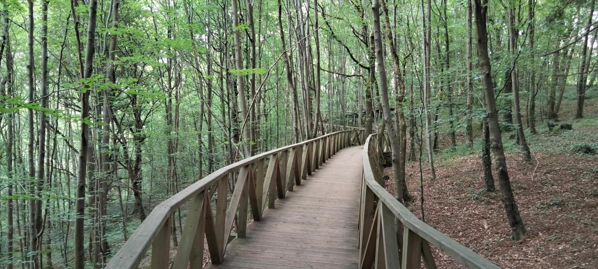 El Mirador De La Hayuela, A 7 Min De Comillas Kültér fotó